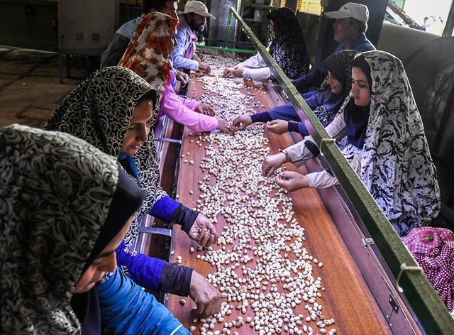 تجارت الکترونیک؛ مسیر توسعه بازار محصولات روستایی