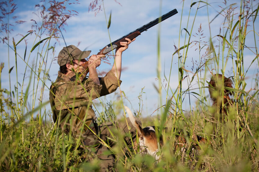 از ابتدای سال‌ جاری ۳۰ شکارچی در قزوین دستگیر شدند